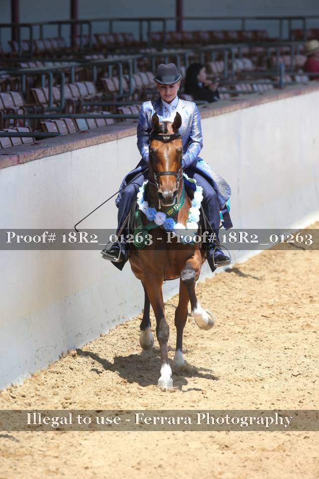 Proof 18R2_01263