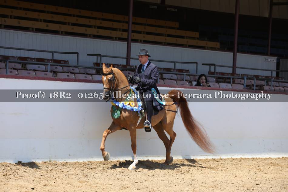 Proof 18R2_01265