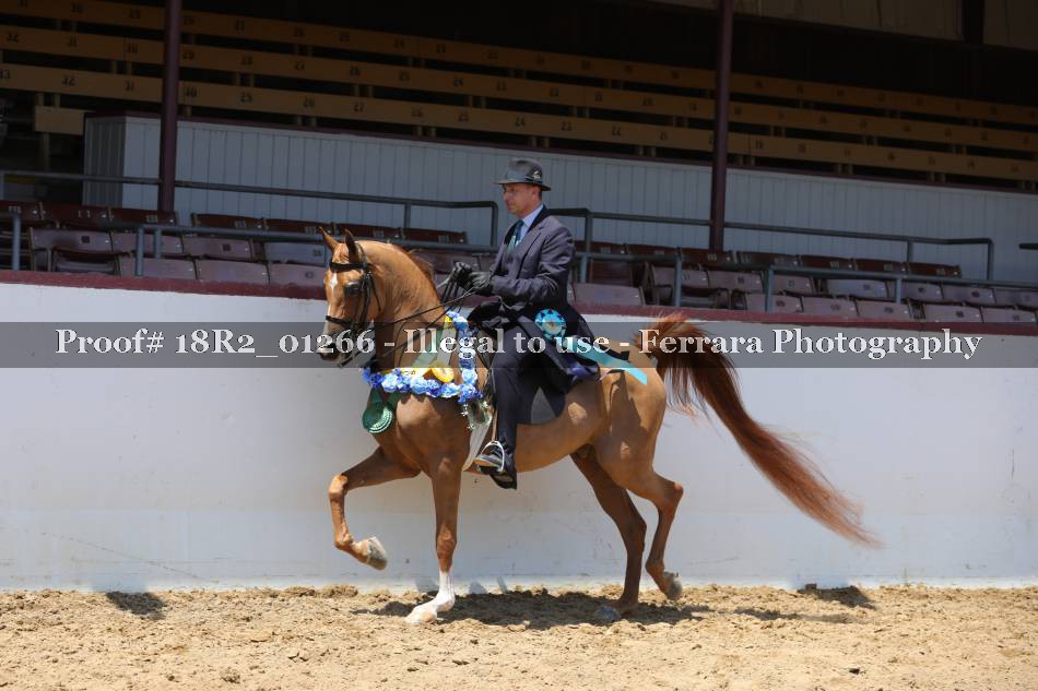 Proof 18R2_01266
