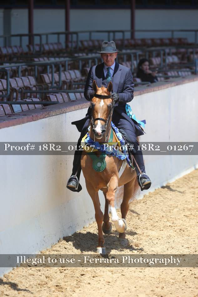 Proof 18R2_01267