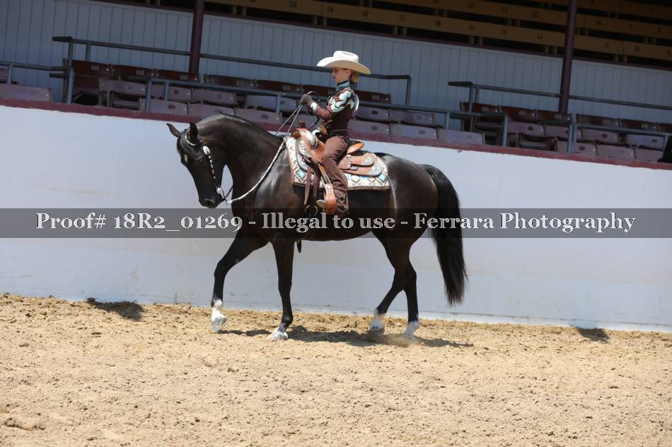 Proof 18R2_01269