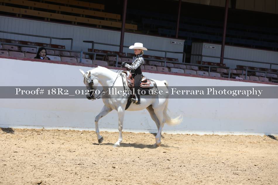 Proof 18R2_01270