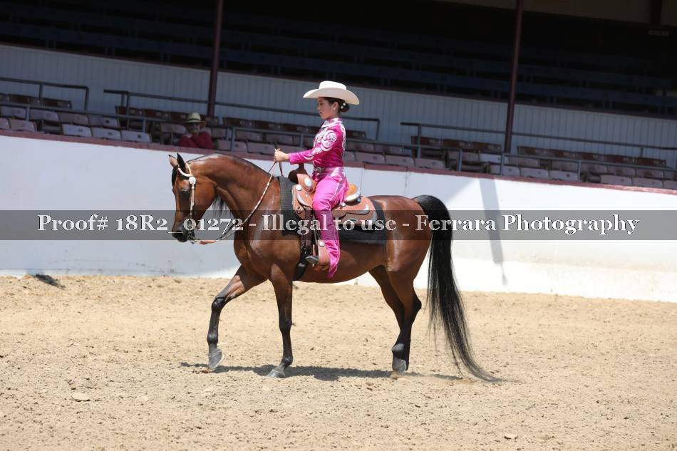 Proof 18R2_01272