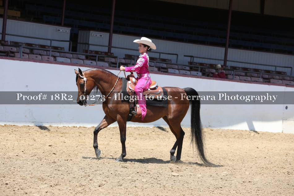 Proof 18R2_01273