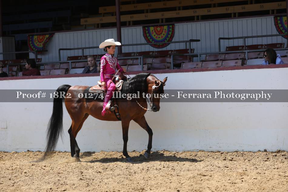 Proof 18R2_01274
