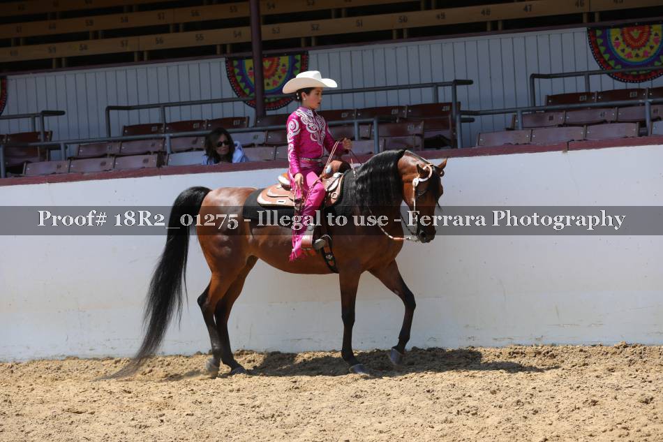 Proof 18R2_01275
