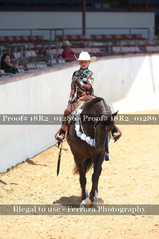 Proof 18R2_01286