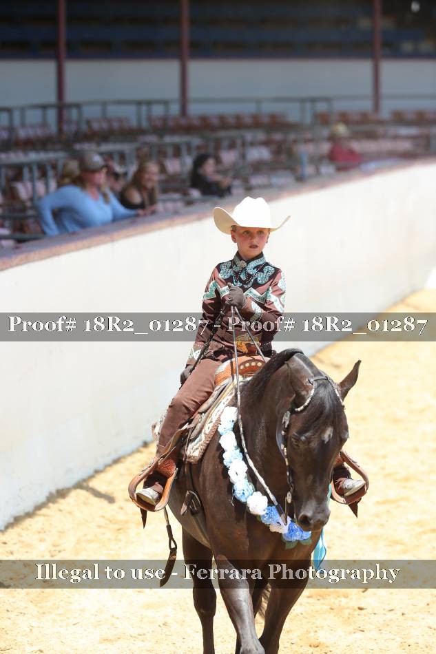 Proof 18R2_01287