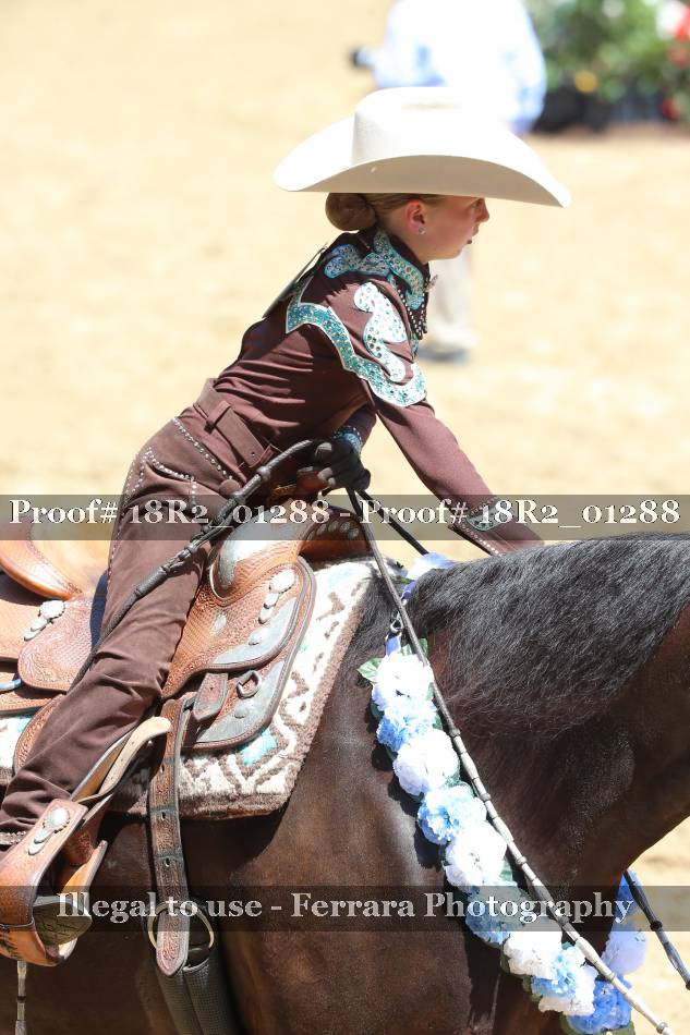 Proof 18R2_01288