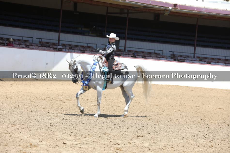 Proof 18R2_01290