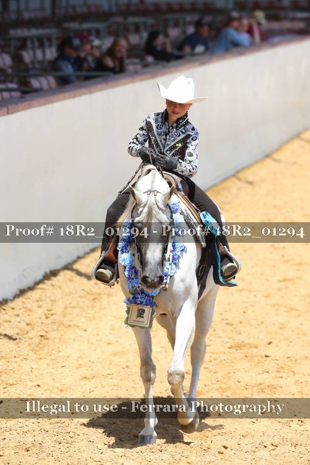Proof 18R2_01294