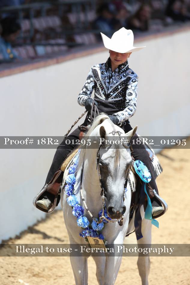 Proof 18R2_01295
