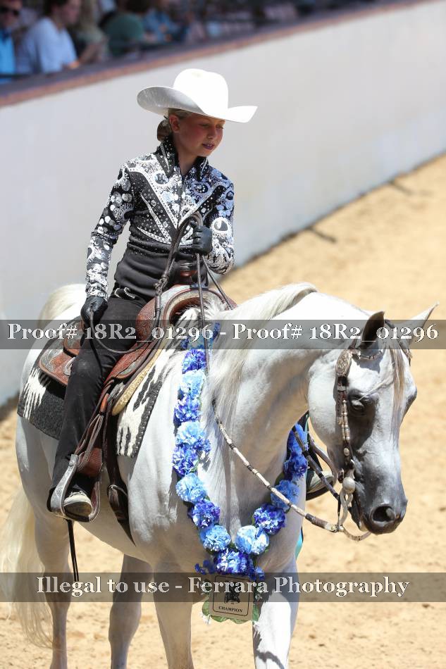 Proof 18R2_01296