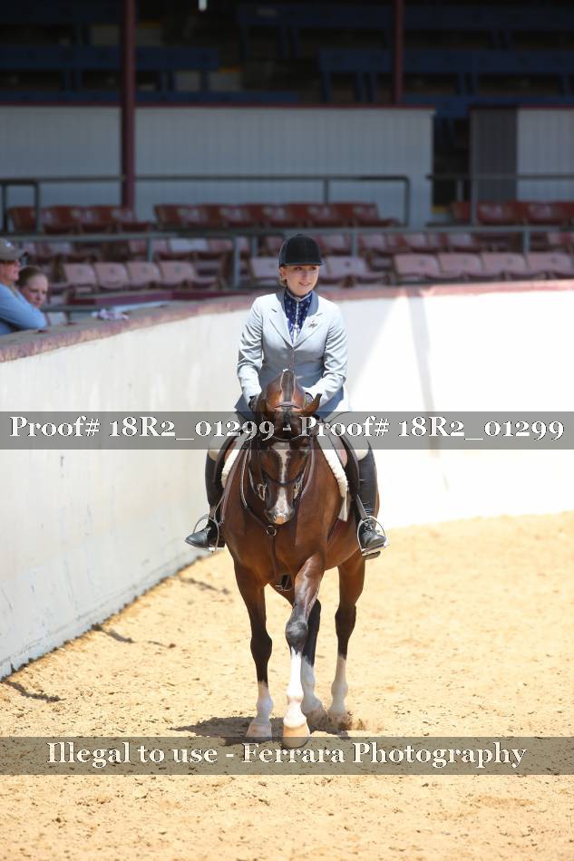 Proof 18R2_01299