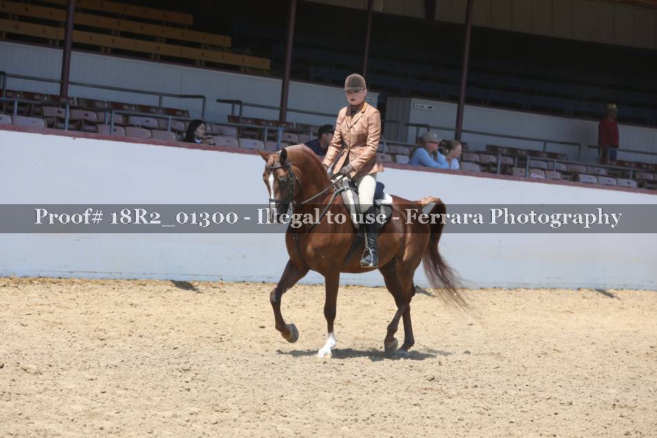 Proof 18R2_01300