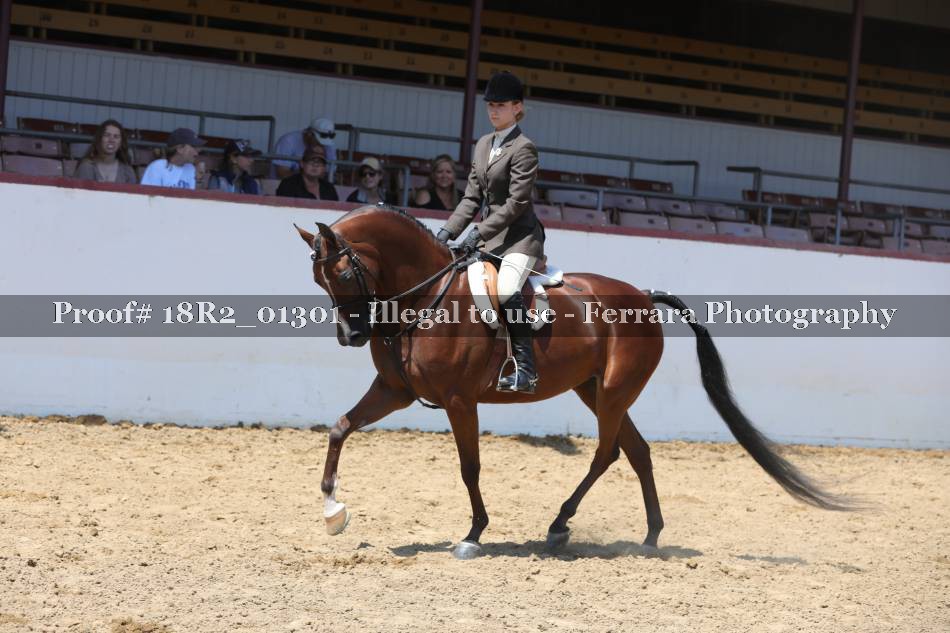 Proof 18R2_01301