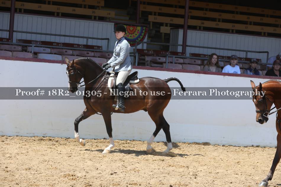 Proof 18R2_01305