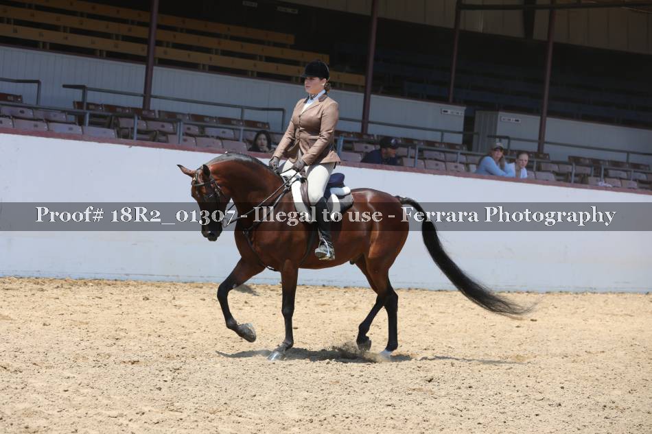 Proof 18R2_01307