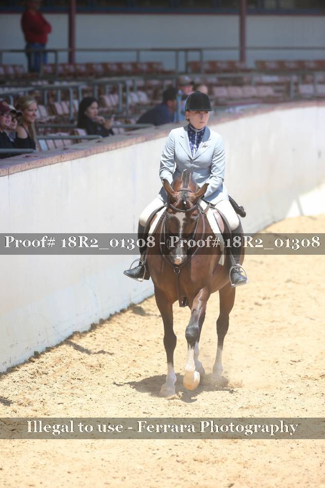Proof 18R2_01308