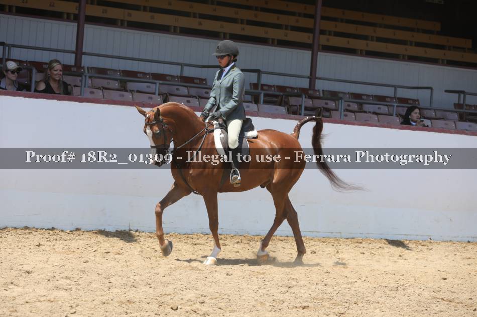 Proof 18R2_01309