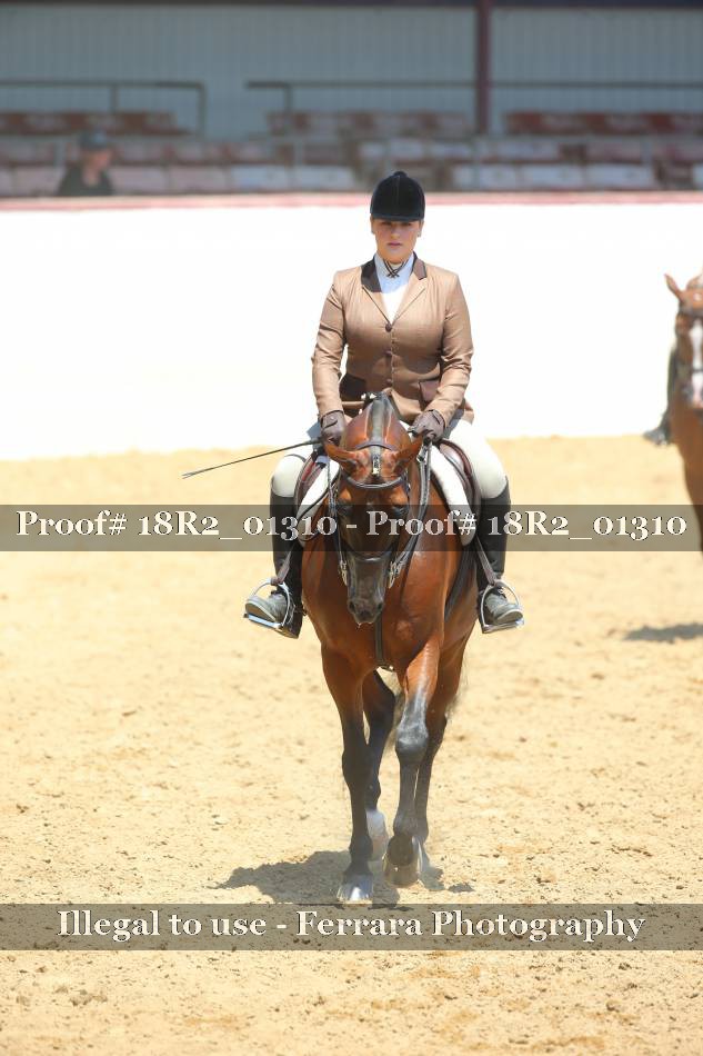 Proof 18R2_01310