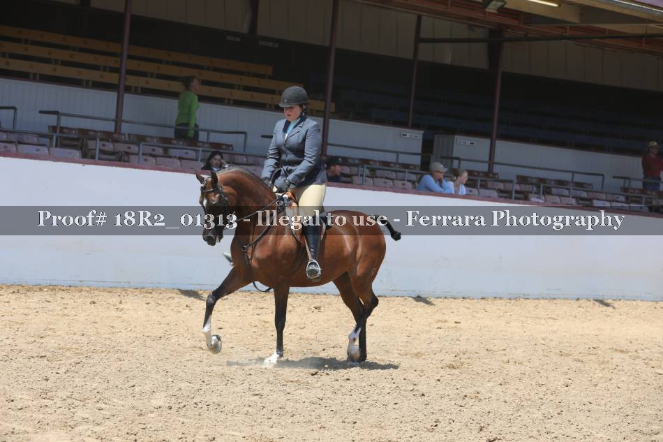 Proof 18R2_01313