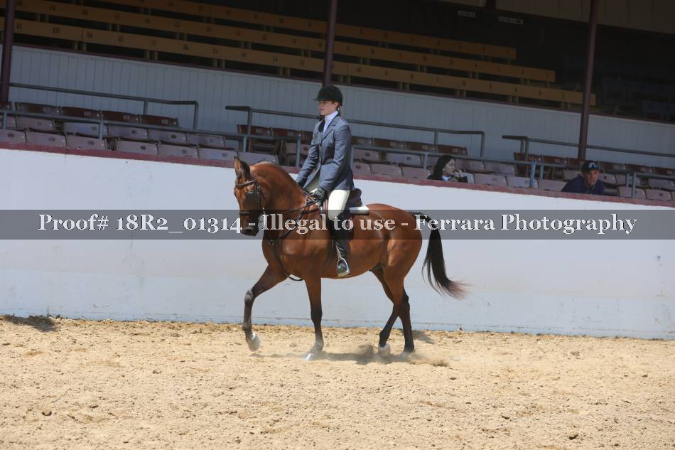 Proof 18R2_01314