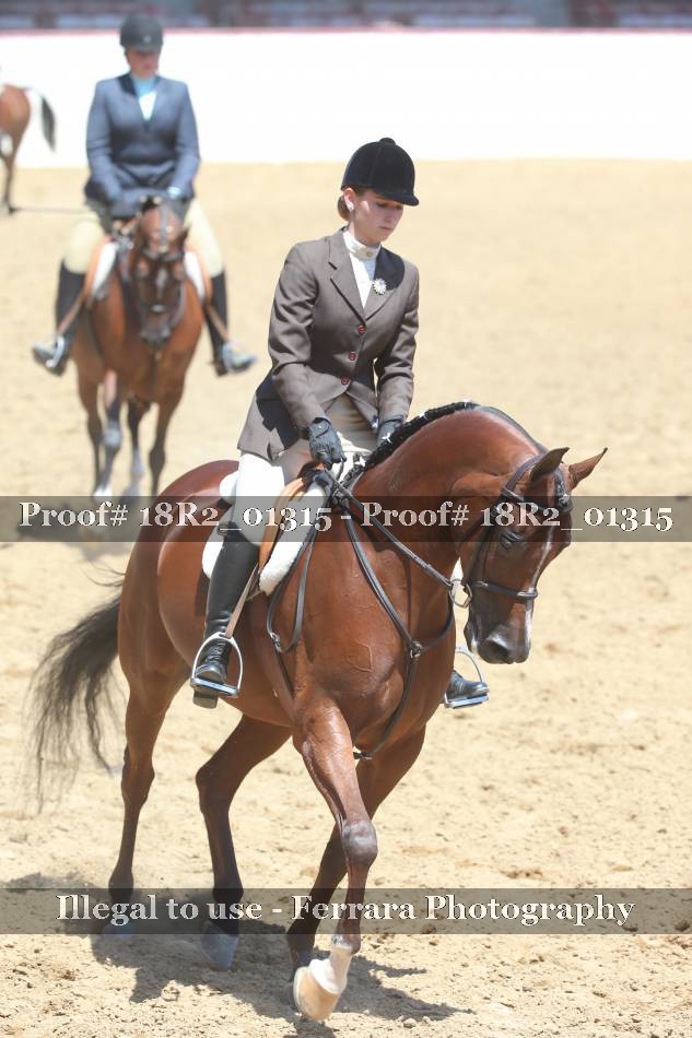 Proof 18R2_01315