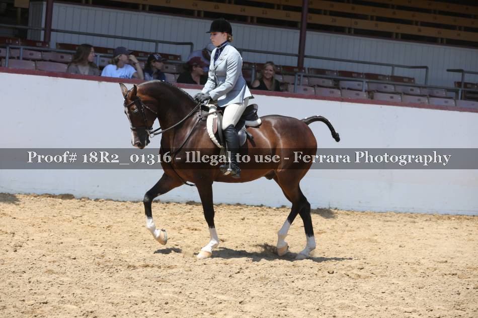 Proof 18R2_01316
