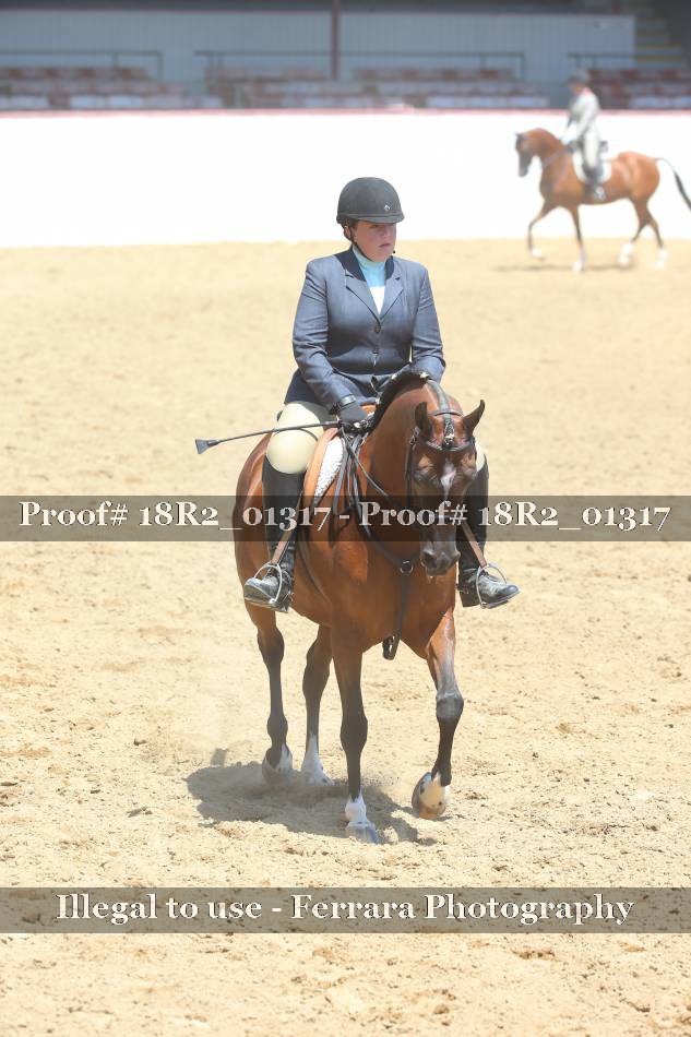 Proof 18R2_01317