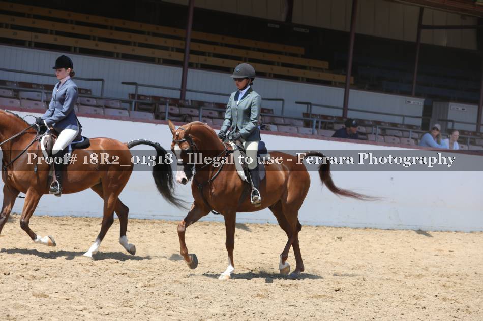 Proof 18R2_01318