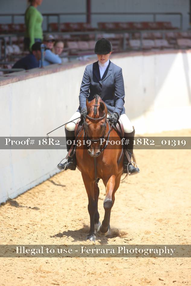 Proof 18R2_01319