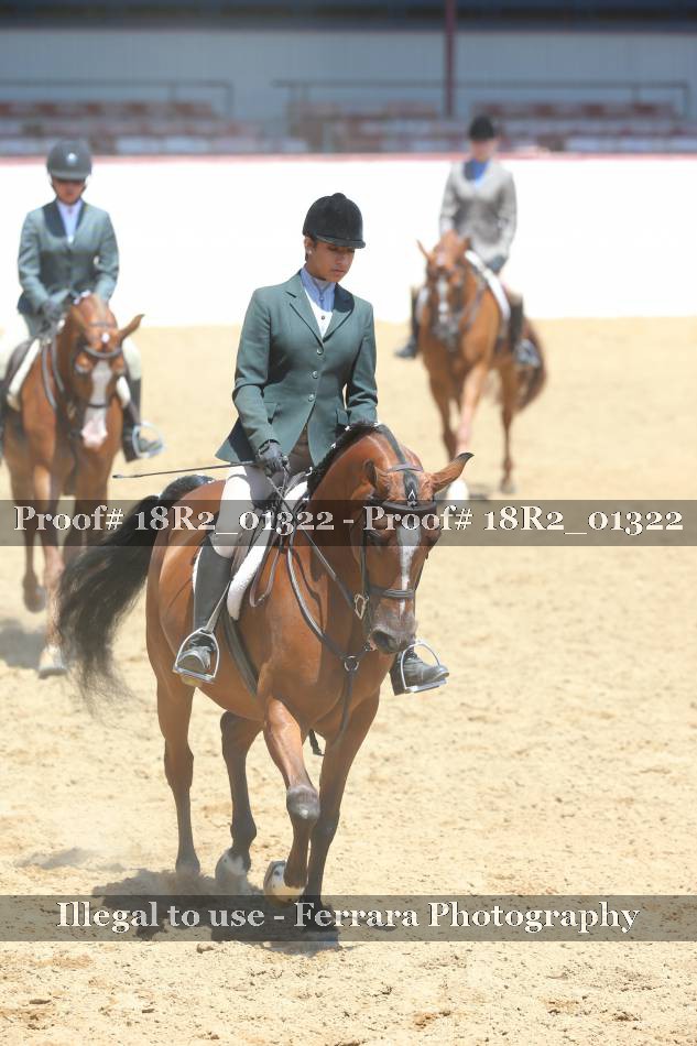 Proof 18R2_01322