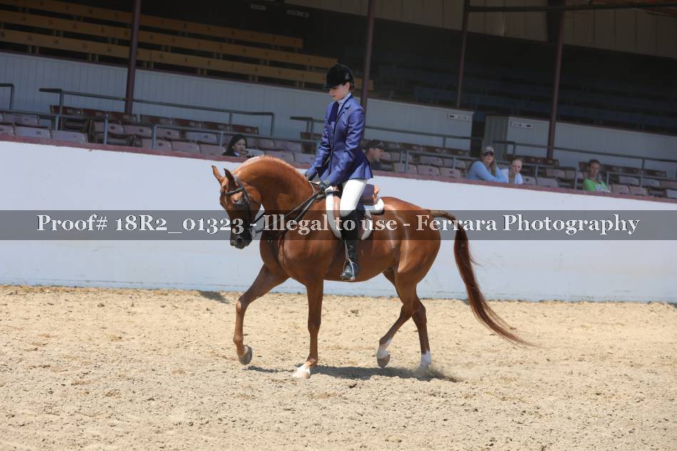 Proof 18R2_01323
