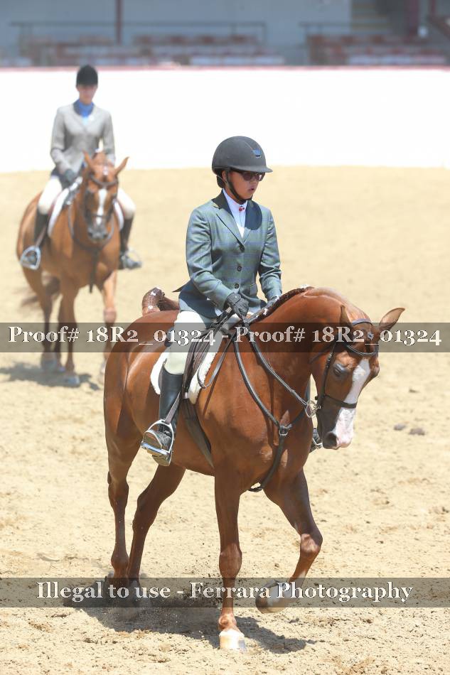 Proof 18R2_01324