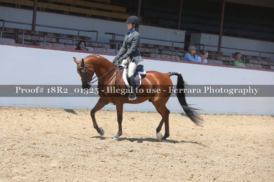 Proof 18R2_01325