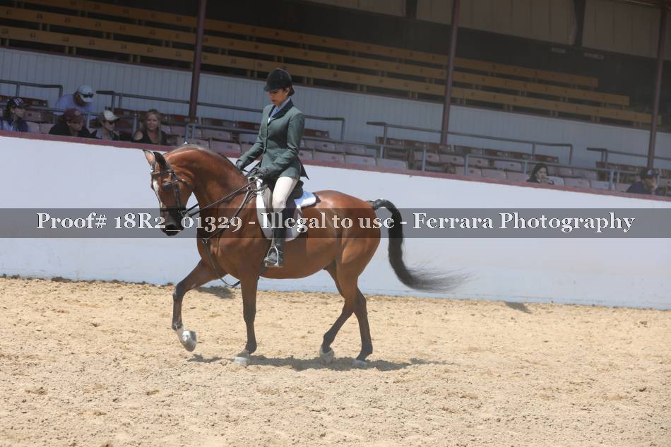 Proof 18R2_01329