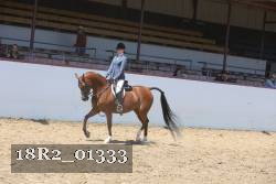 18R2_01333 proof