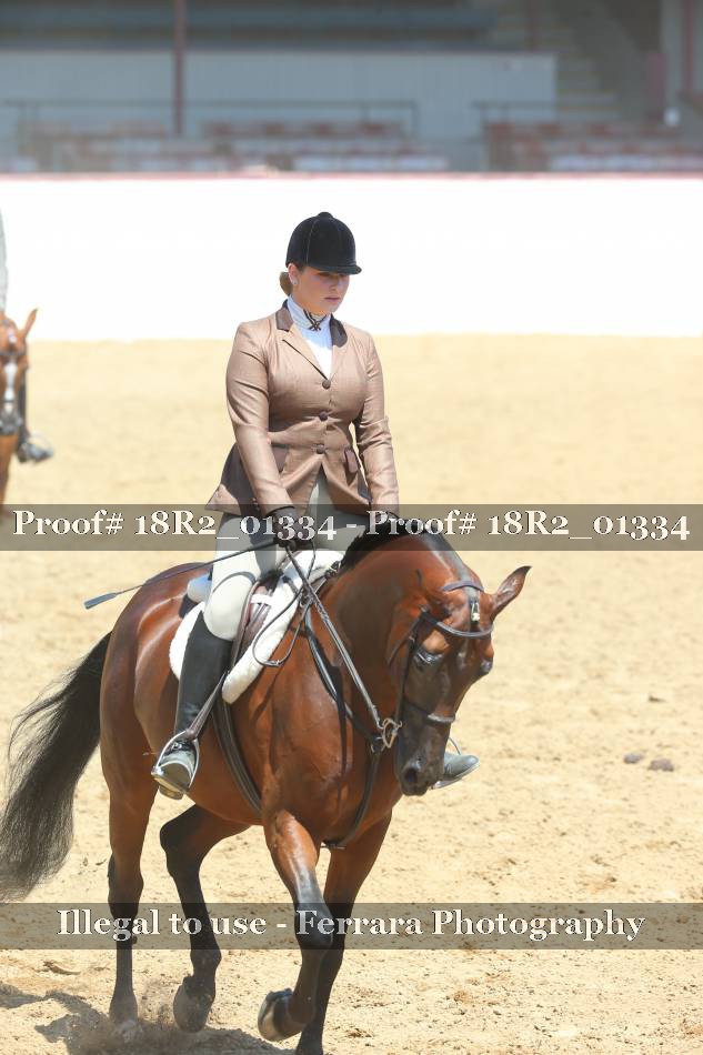 Proof 18R2_01334