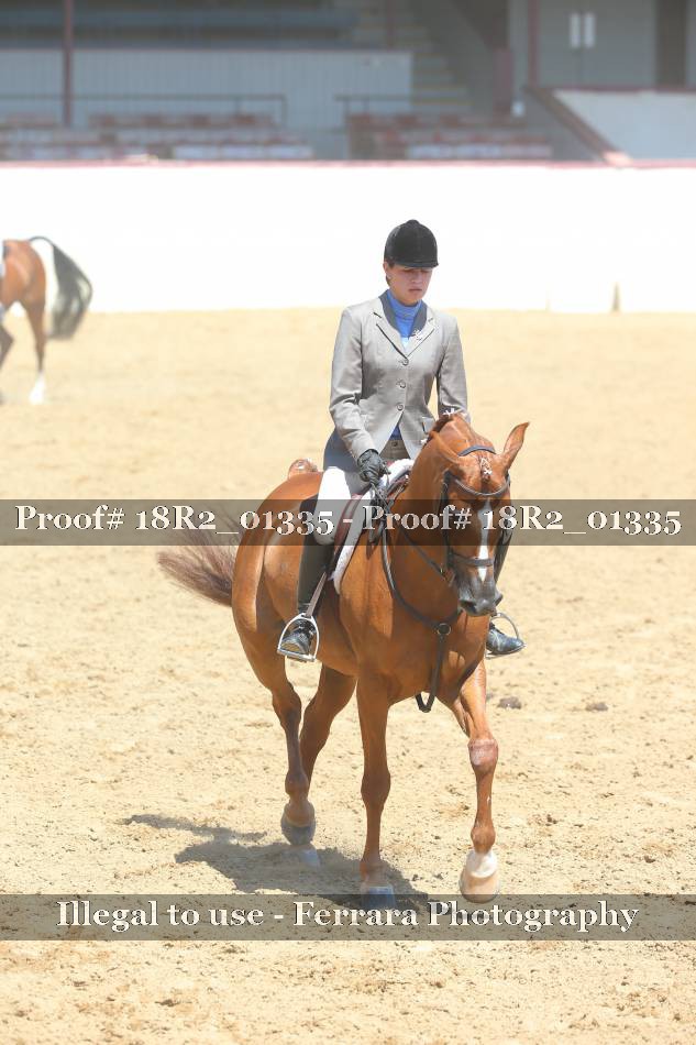 Proof 18R2_01335