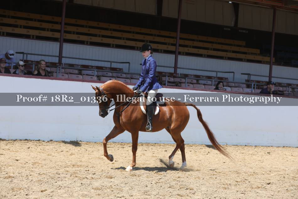 Proof 18R2_01336