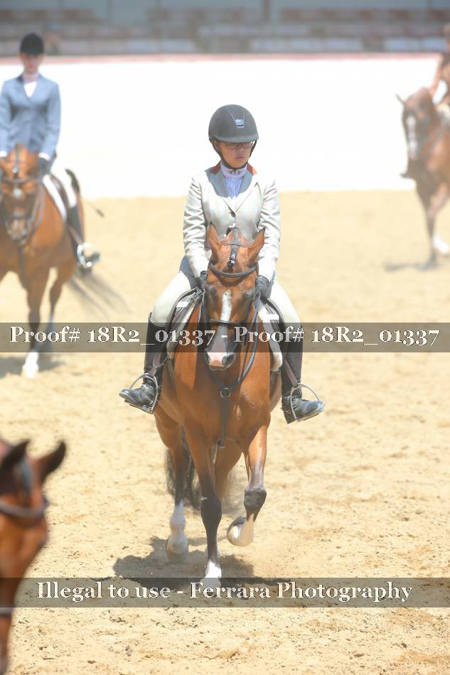 Proof 18R2_01337