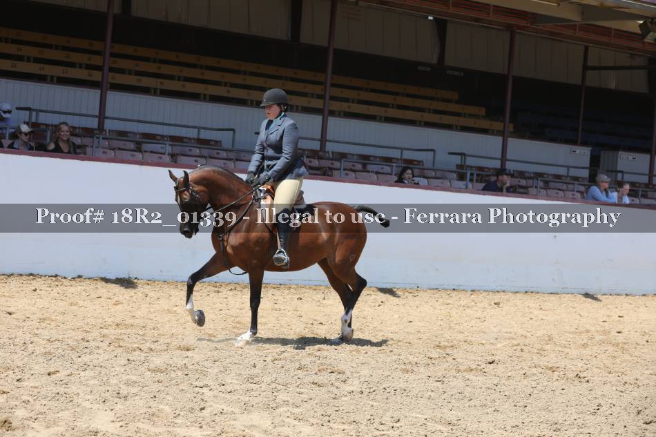 Proof 18R2_01339