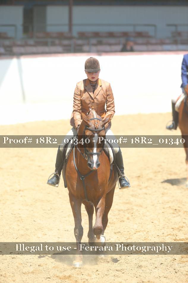 Proof 18R2_01340
