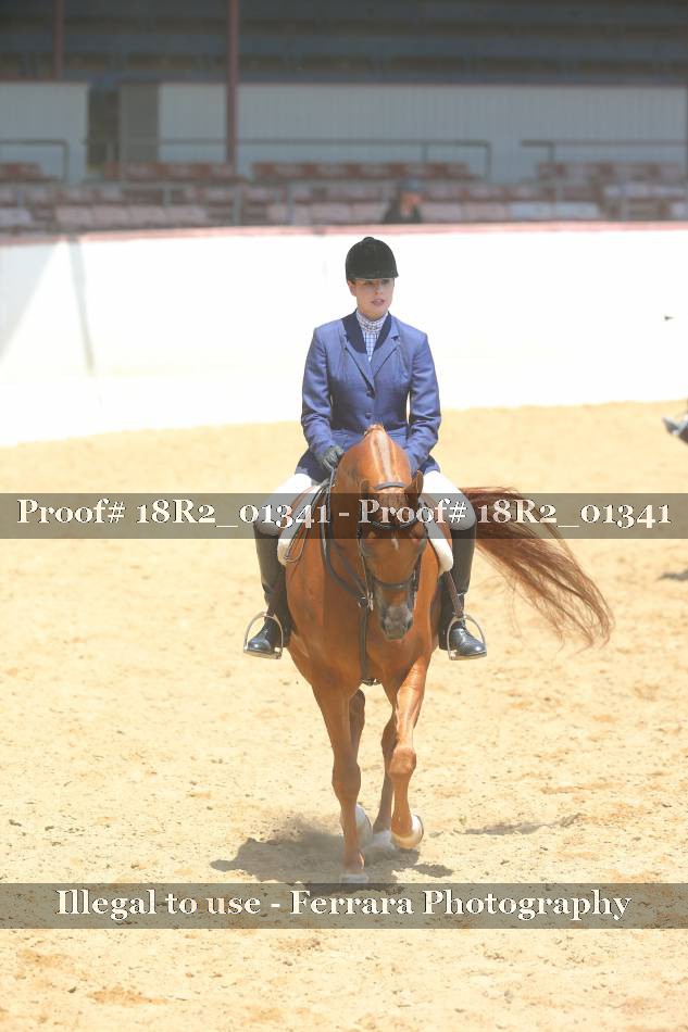 Proof 18R2_01341