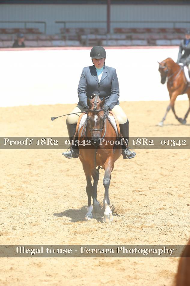 Proof 18R2_01342