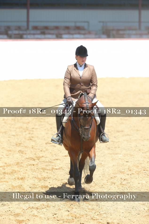 Proof 18R2_01343