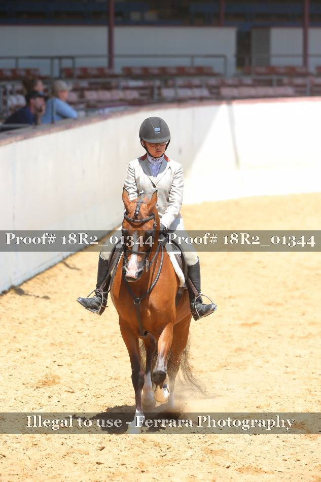 Proof 18R2_01344