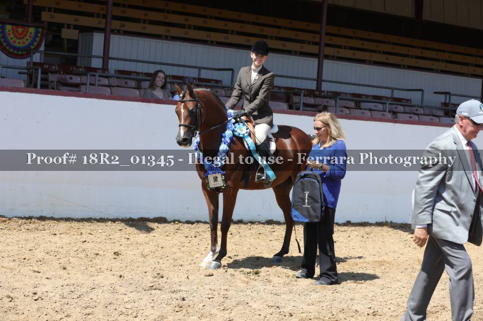 Proof 18R2_01345