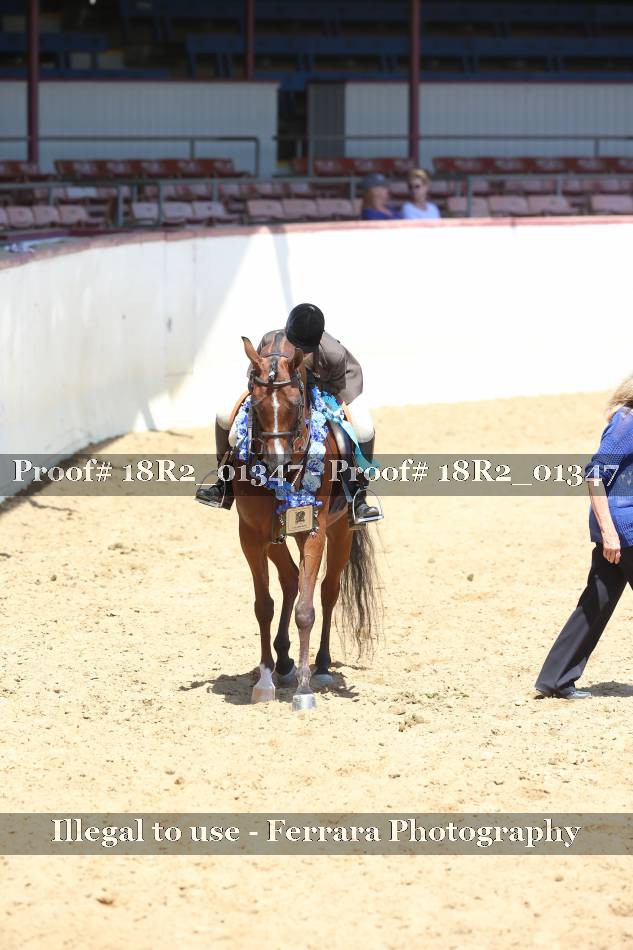 Proof 18R2_01347